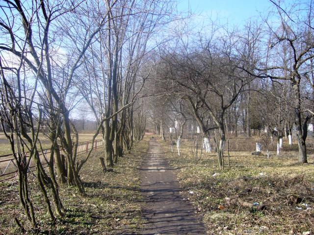 Вдоль стадиона на ул.Институтскую...