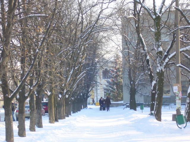 Дорога в Городской Дом культуры