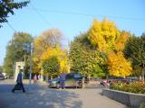 Фото старого  городского парка от Уманчанки