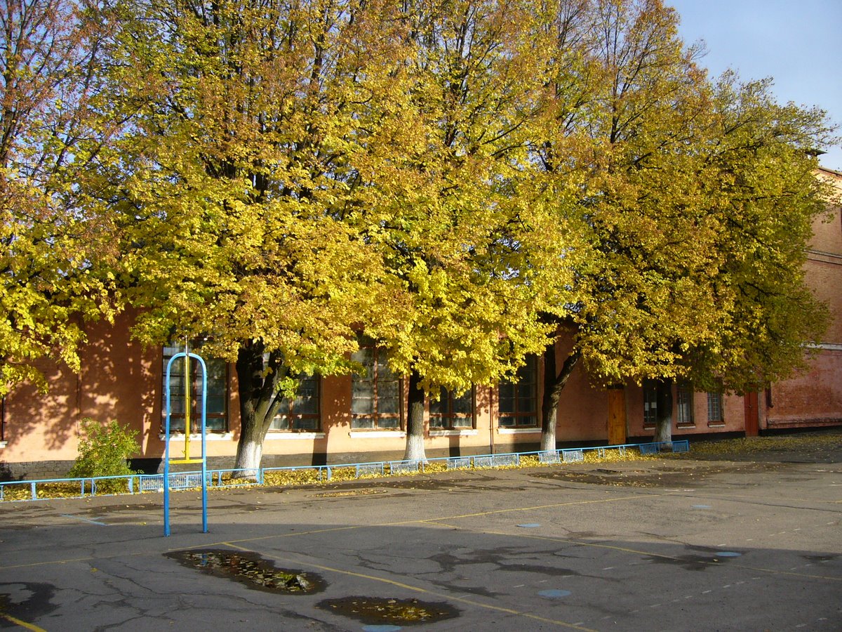 Осень в городе школа