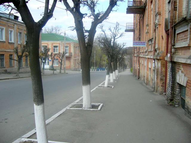 По древней улице Садовой