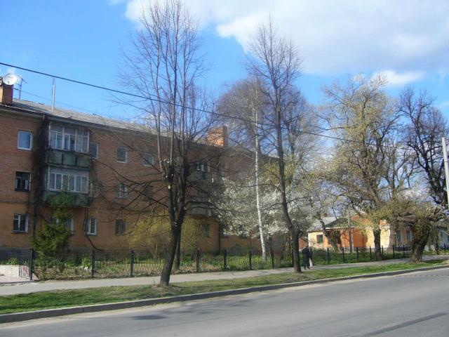 Садовая ул. Спуск в Софиевку. По обе стороны - старые дома