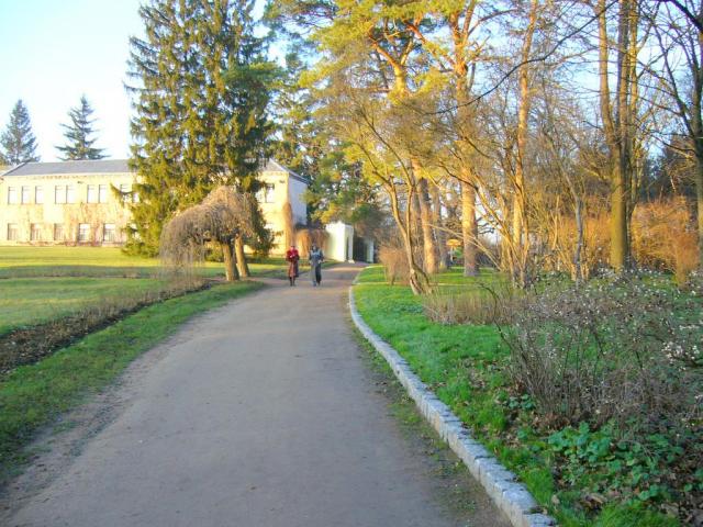 Арборетум В.В.Пашкевича и кафедра плодоводства.