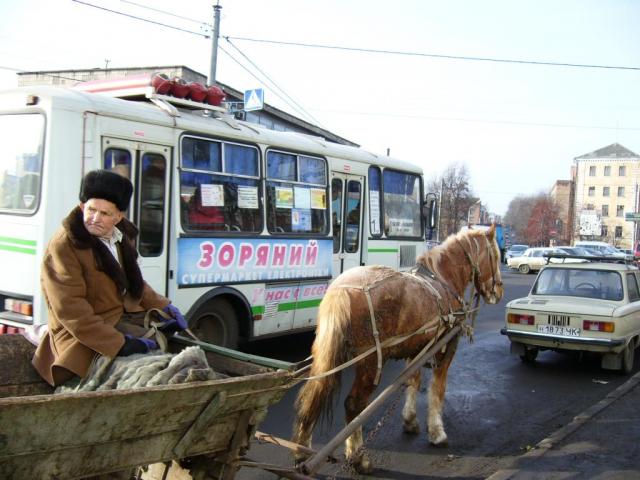 Из центрального рынка прямо в Новый год!