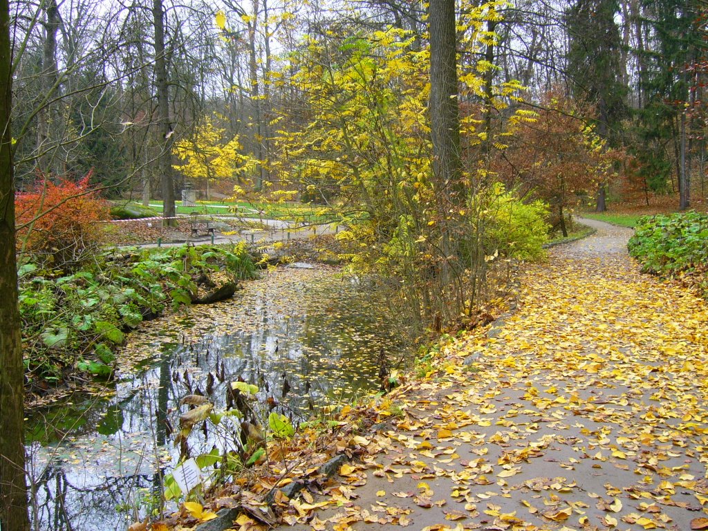 Осенний пейзаж 2