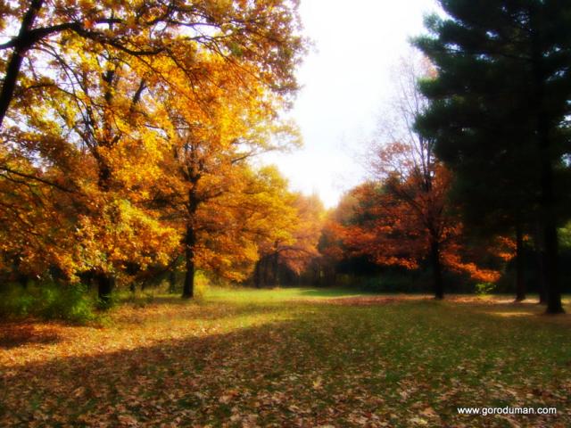 Осень в Софиевке